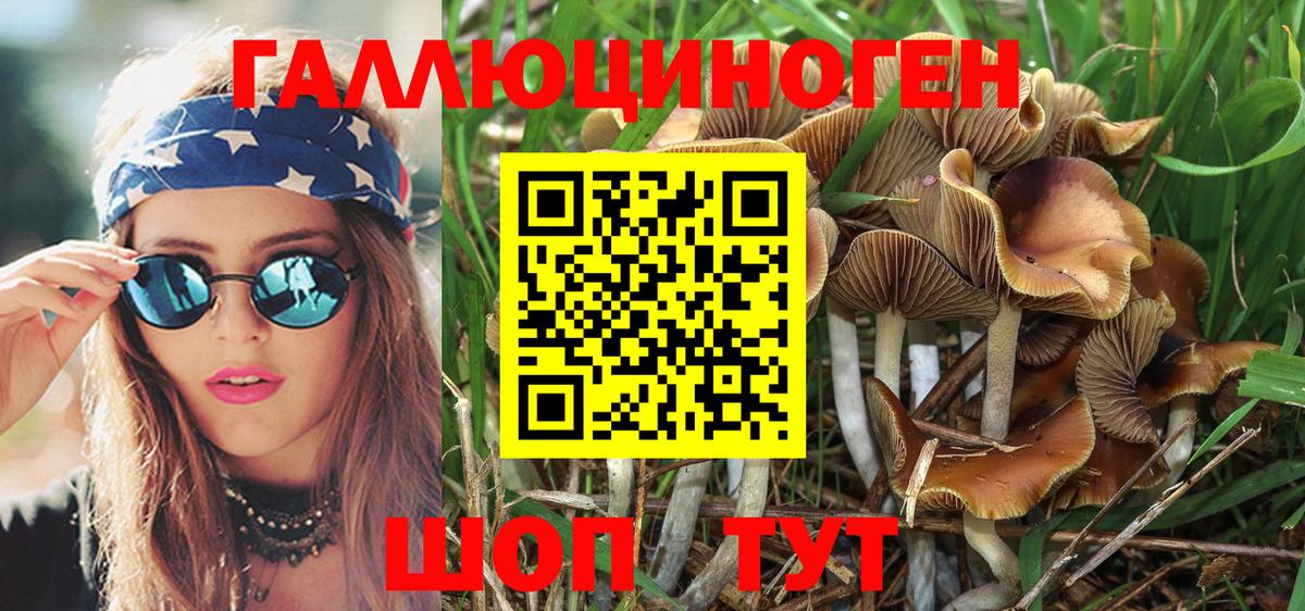 Галлюциногенные грибы Psilocybe Ижевск