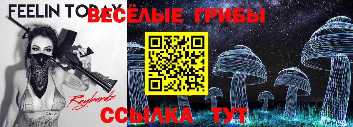 где купить   Галлюциногенные грибы мухоморы  Вход с VPN  Ижевск 